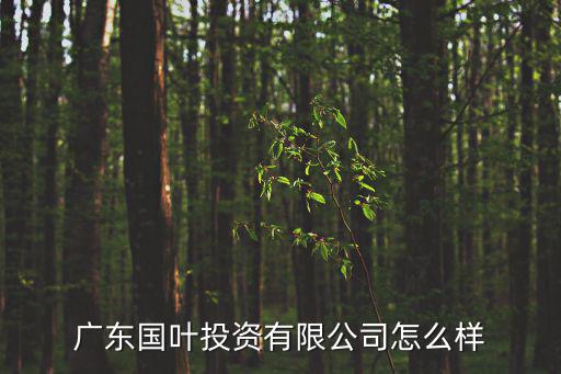 廣東國葉投資有限公司怎么樣