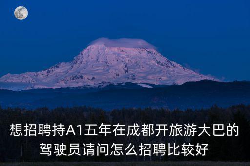 成都市旅游招聘A1駕駛員，想招聘持A1五年在成都開旅游大巴的駕駛員請問怎么招聘比較好