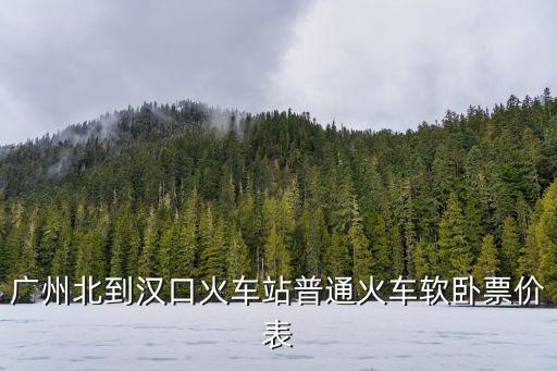 廣州北到漢口火車站普通火車軟臥票價表