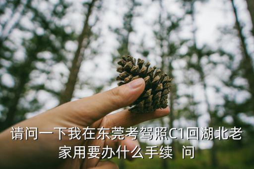 請(qǐng)問(wèn)一下我在東莞考駕照C1回湖北老家用要辦什么手續(xù)  問(wèn)
