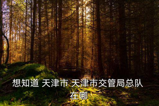 想知道 天津市 天津市交管局總隊 在哪