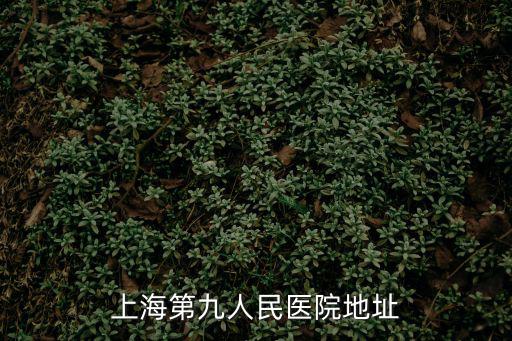 上海第九人民醫(yī)院地址