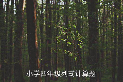 天津市小學四年級上冊數學計算題，小學四年級數學計算題