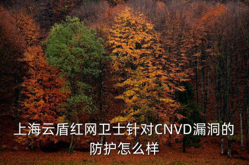 上海市 大數據 標準化，上海云盾紅網衛士針對CNVD漏洞的防護怎么樣