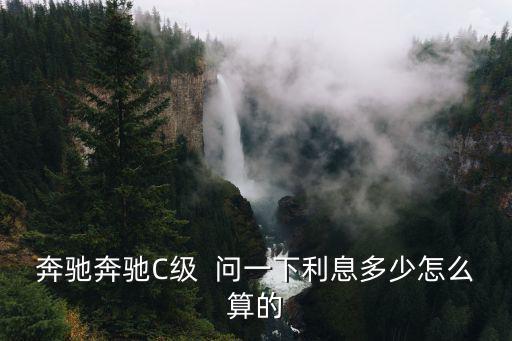 奔馳奔馳C級  問一下利息多少怎么算的