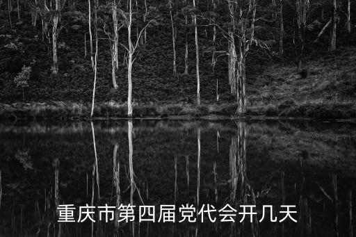 重慶市第四屆黨代會開幾天