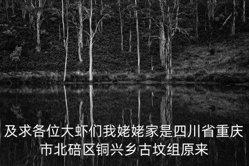 及求各位大蝦們我姥姥家是四川省重慶市北碚區銅興鄉古墳組原來