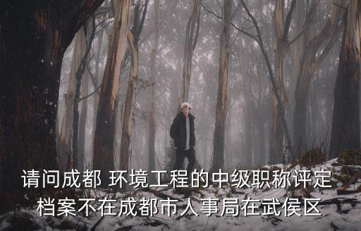 請問成都 環境工程的中級職稱評定 檔案不在成都市人事局在武侯區