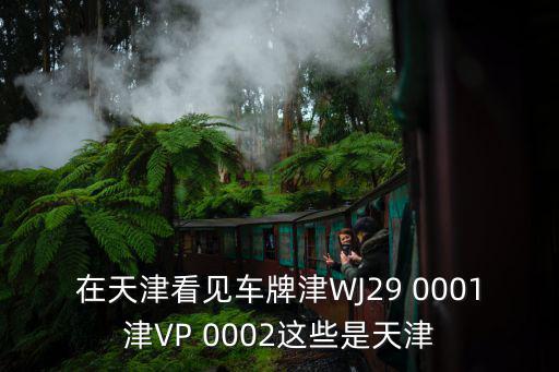 在天津看見車牌津WJ29 0001津VP 0002這些是天津