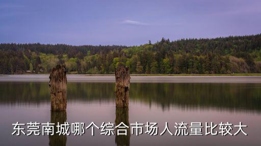 東莞南城哪個綜合市場人流量比較大