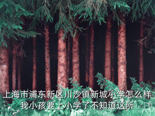 上海市川沙小學校哪個好，上海 浦東川沙實驗小學好嗎 可以進去嗎