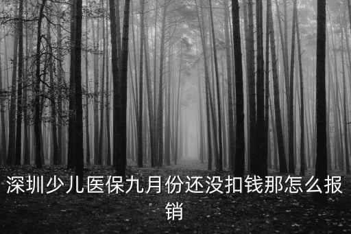 深圳少兒醫保九月份還沒扣錢那怎么報銷