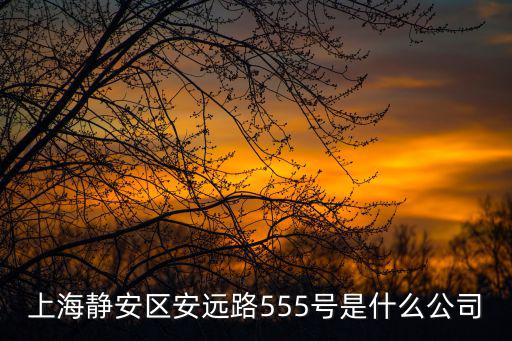 上海靜安區安遠路555號是什么公司