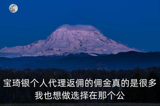 寶琦銀個人代理返傭的傭金真的是很多我也想做選擇在那個公