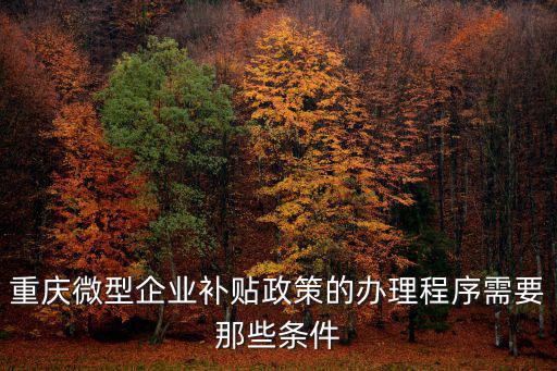 重慶微型企業(yè)補(bǔ)貼政策的辦理程序需要那些條件