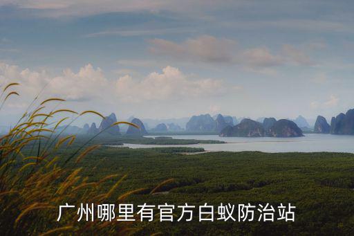 廣州哪里有官方白蟻防治站