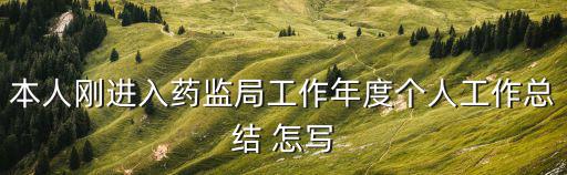 本人剛進(jìn)入藥監(jiān)局工作年度個(gè)人工作總結(jié) 怎寫