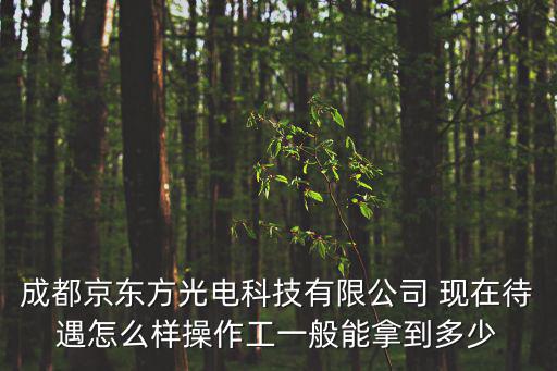 成都京東方光電科技有限公司 現在待遇怎么樣操作工一般能拿到多少