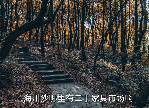 上海川沙哪里有二手家具市場啊