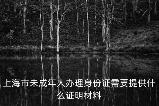 上海市未成年人辦理身份證需要提供什么證明材料