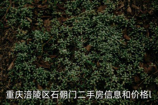 查詢重慶市涪陵區(qū)二手房信息，重慶涪陵區(qū)石朝門二手房信息和價格l