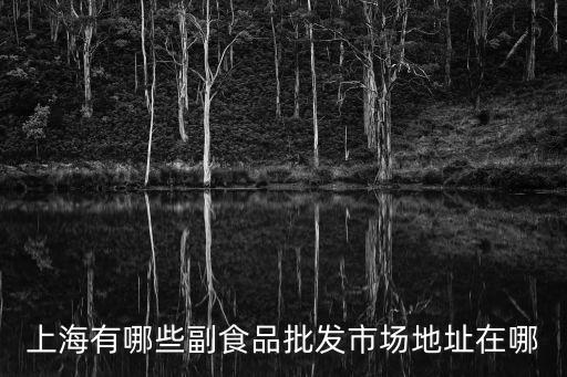 上海有哪些副食品批發(fā)市場地址在哪
