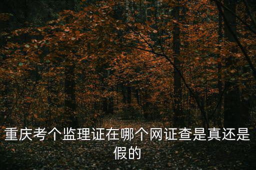 重慶考個監(jiān)理證在哪個網(wǎng)證查是真還是假的