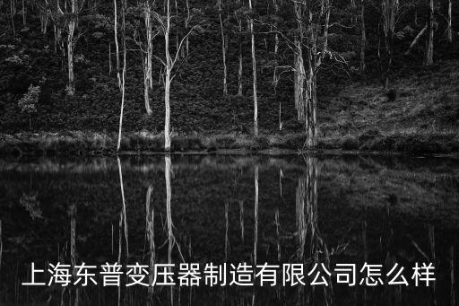 上海東普變壓器制造有限公司怎么樣