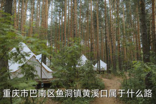重慶市巴南區魚洞鎮黃溪口屬于什么路