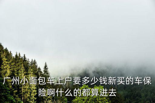 廣州小面包車上戶要多少錢新買的車保險啊什么的都算進去