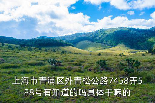 上海市青浦區外青松公路7458弄588號有知道的嗎具體干嘛的