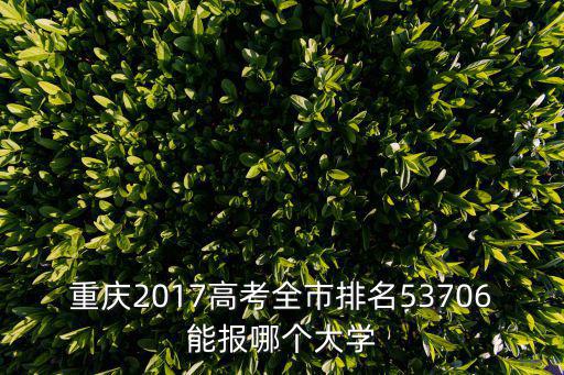 重慶2017高考全市排名53706能報哪個大學
