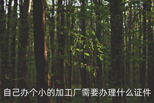 自己辦個(gè)小的加工廠需要辦理什么證件