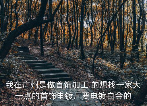 我在廣州是做首飾加工 的想找一家大一點的首飾電鍍廠要電鍍白金的