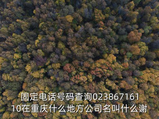 固定電話號碼查詢02386716110在重慶什么地方公司名叫什么謝