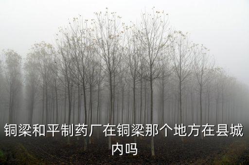 銅梁和平制藥廠在銅梁那個地方在縣城內嗎