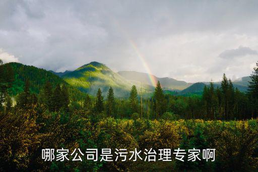 哪家公司是污水治理專家啊