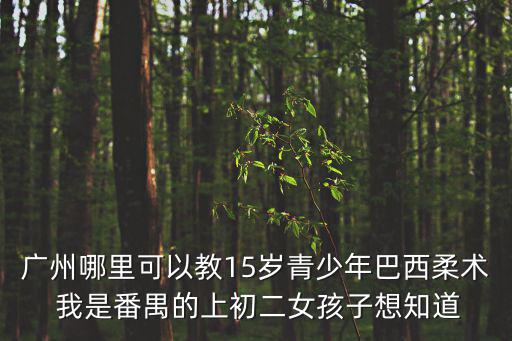 廣州花都巴西柔術(shù)，廣州哪里可以教15歲青少年巴西柔術(shù) 我是番禺的上初二女孩子想知道