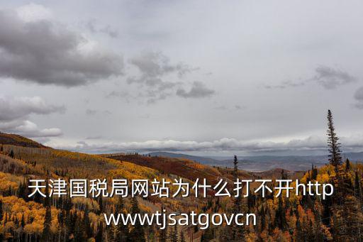 天津國(guó)稅局網(wǎng)站為什么打不開httpwwwtjsatgovcn