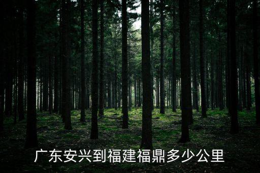 廣東安興到福建福鼎多少公里