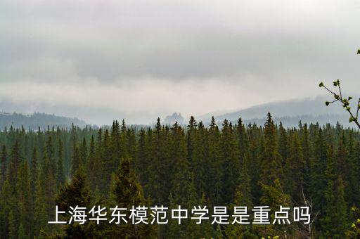 上海華東模范中學是是重點嗎
