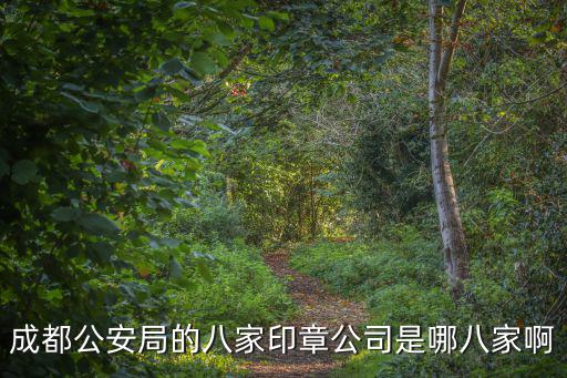 成都市精恒印章有限公司，公司名帶省市和不帶省市的公司有什么區別