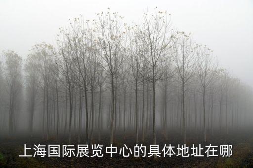 上海國際展覽中心的具體地址在哪