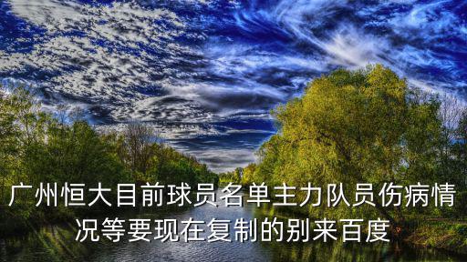 廣州恒大目前球員名單主力隊員傷病情況等要現在復制的別來百度