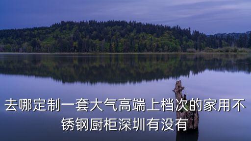 去哪定制一套大氣高端上檔次的家用不銹鋼廚柜深圳有沒有