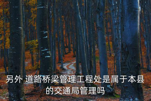 另外 道路橋梁管理工程處是屬于本縣的交通局管理嗎