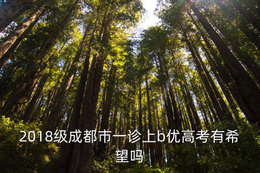 2018級成都市一診上b優高考有希望嗎