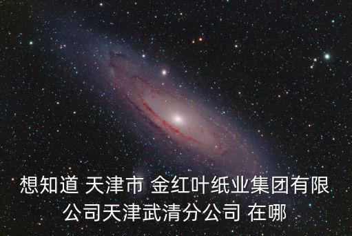 想知道 天津市 金紅葉紙業(yè)集團有限公司天津武清分公司 在哪