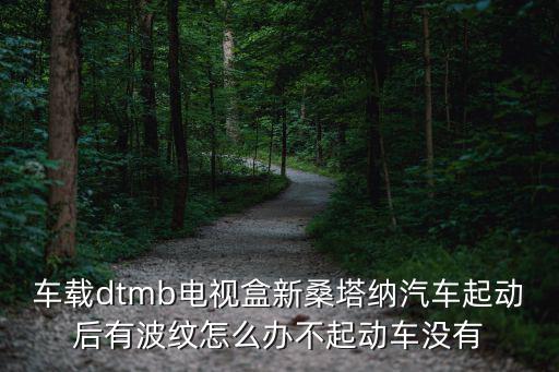 深圳dtmb車載電視盒，有沒有把dtmb車載電視盒改成飛歌導(dǎo)航專用的