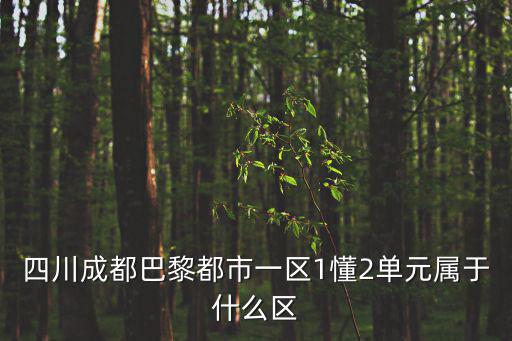 四川成都巴黎都市一區1懂2單元屬于什么區